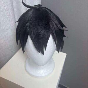 Honkai Star Rail Dan Heng Cosplay Wig (Styled)